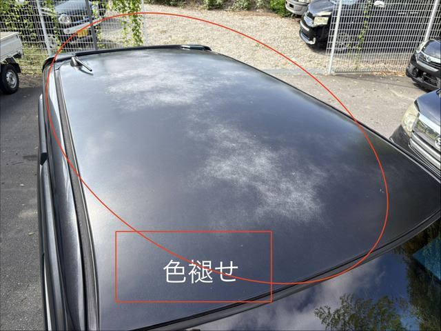 2009 Honda ZEST 缩略图 11