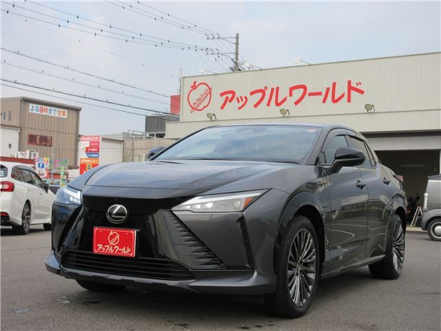 2023 Lexus RZ 照片 1