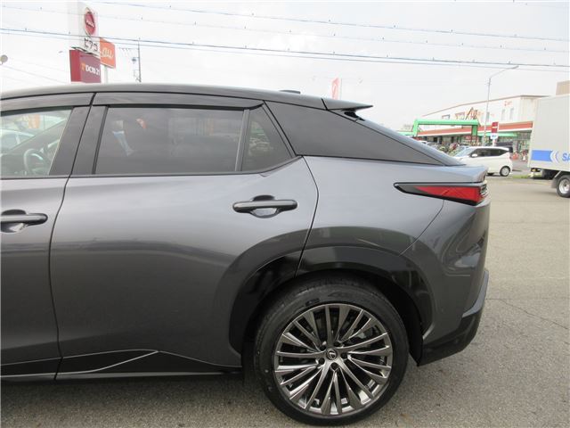 2023 Lexus RZ 缩略图 12
