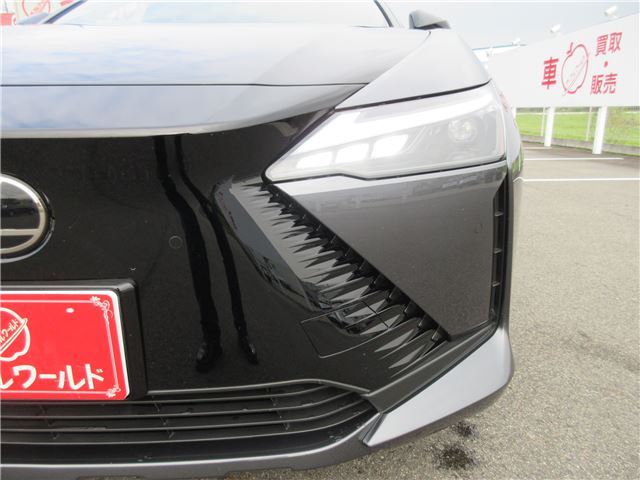 2023 Lexus RZ 缩略图 15