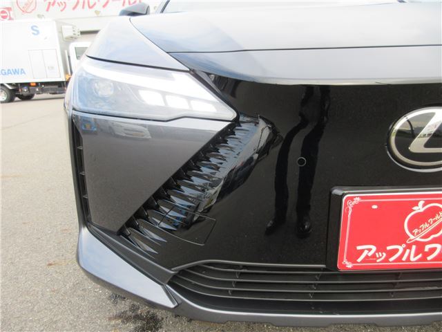 2023 Lexus RZ 缩略图 14