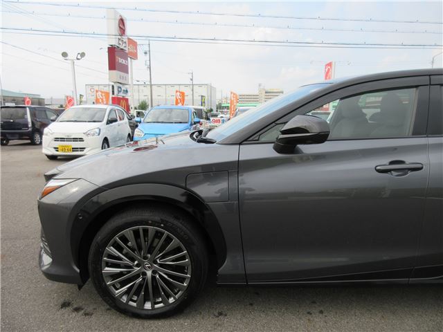 2023 Lexus RZ 缩略图 11