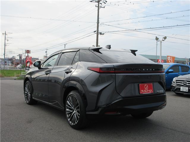 2023 Lexus RZ 缩略图 16