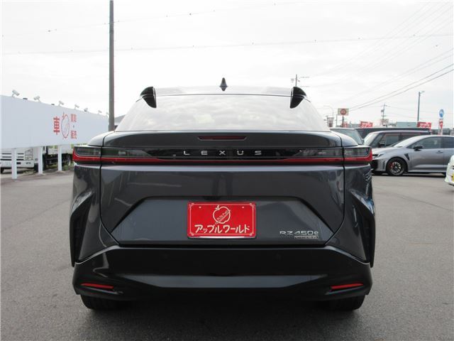 2023 Lexus RZ 缩略图 17