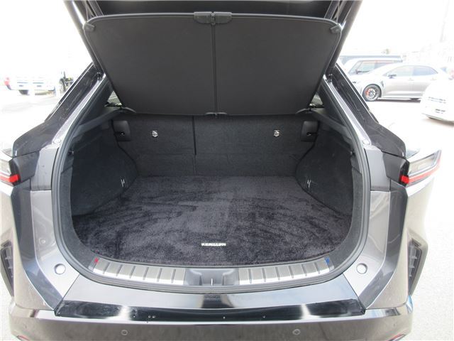 2023 Lexus RZ 缩略图 29