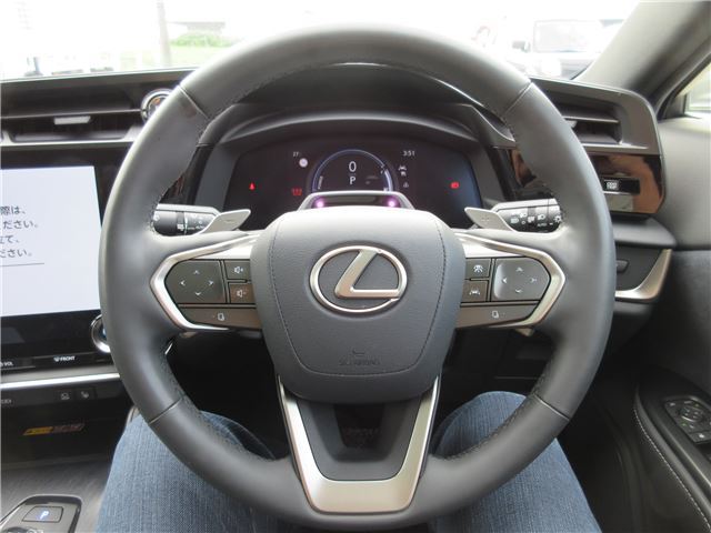 2023 Lexus RZ 缩略图 41