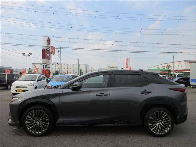 2023 Lexus RZ 照片 10