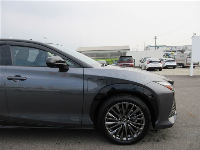 2023 Lexus RZ 照片 9