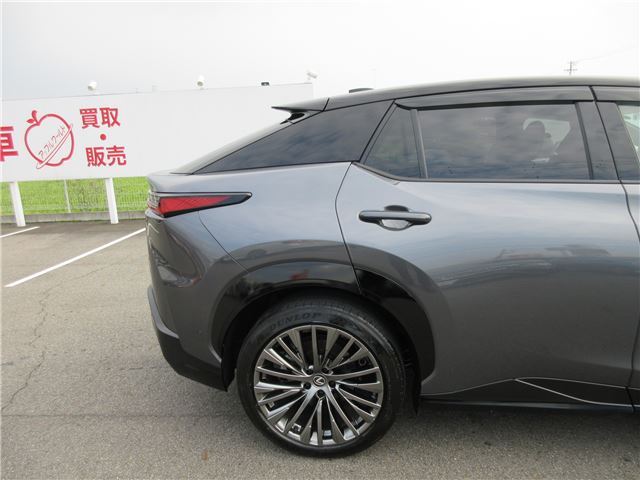 2023 Lexus RZ 照片 8