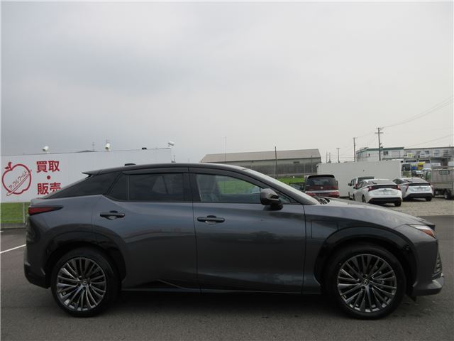2023 Lexus RZ 照片 7