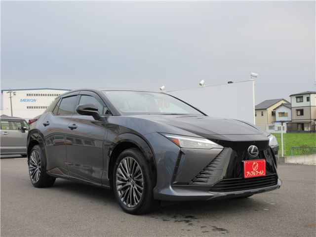 2023 Lexus RZ 照片 6