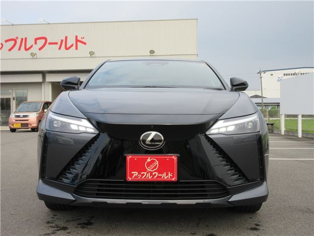 2023 Lexus RZ 照片 5