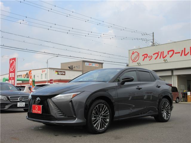 2023 Lexus RZ 照片 4