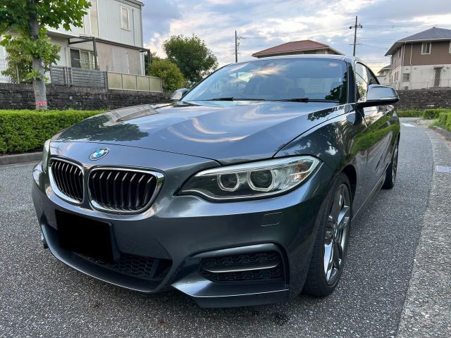 2014 BMW 2 SERIES 照片 1