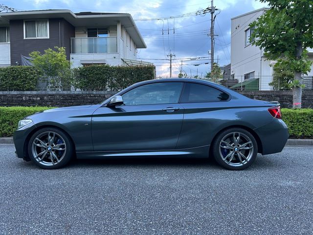 2014 BMW 2 SERIES 照片 2