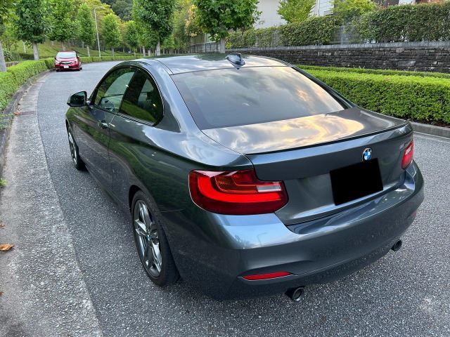 صورة مصغرة 19 لـ 2014 BMW 2 SERIES
