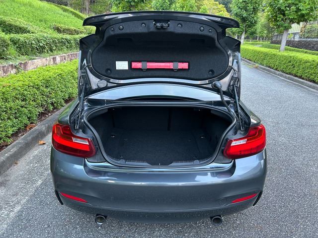 2014 BMW 2 SERIES 照片 9