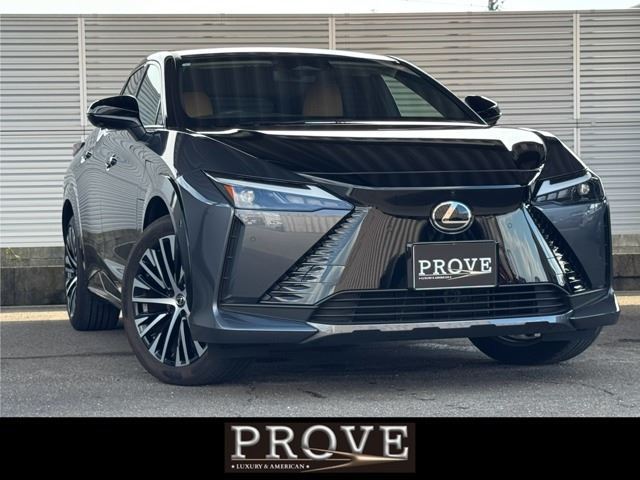 2023 Lexus RZ 照片 1