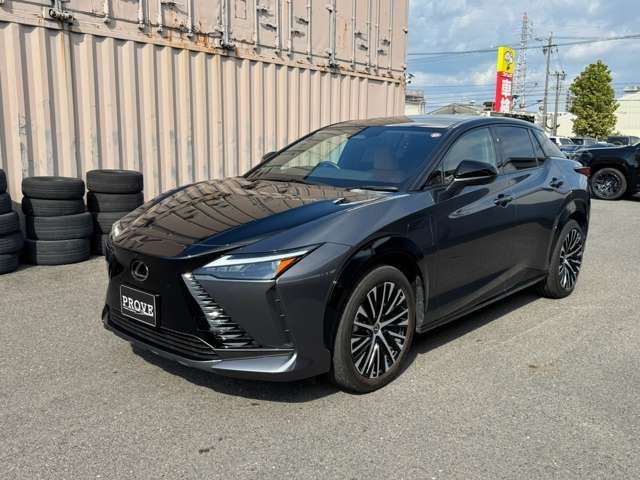 2023 Lexus RZ 缩略图 11