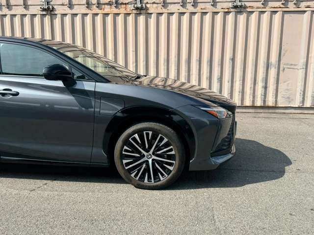 2023 Lexus RZ 缩略图 22