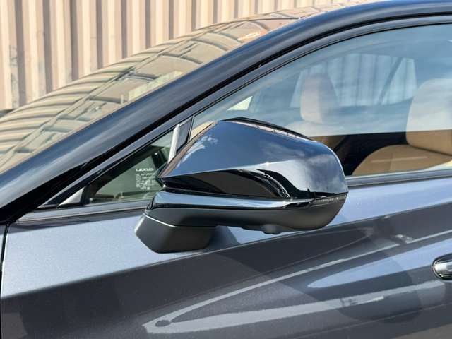 2023 Lexus RZ 缩略图 34