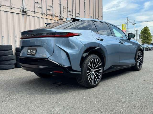 2023 Lexus RZ 缩略图 21