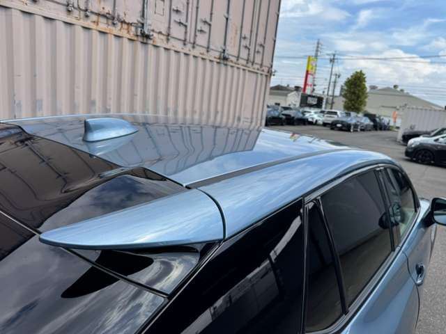2023 Lexus RZ 缩略图 29