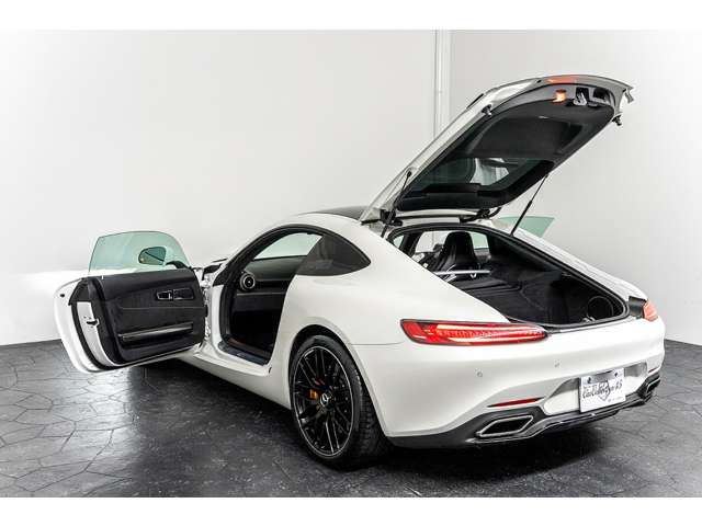 2015 Mercedes-BENZ GT AMG 缩略图 46
