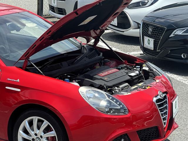 2014 ALFA Romeo GIULIETTA 缩略图 20