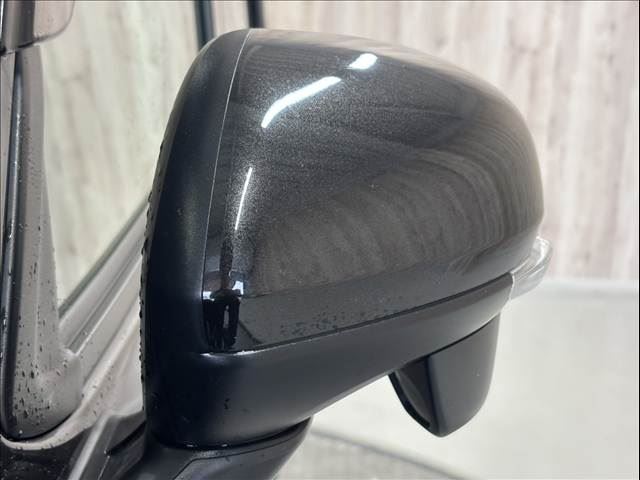 2021 Toyota ROOMY 缩略图 24