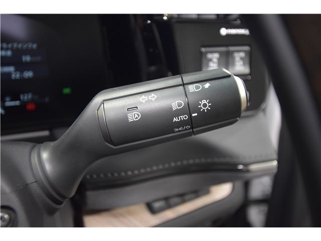 2024 Lexus LM 照片 9