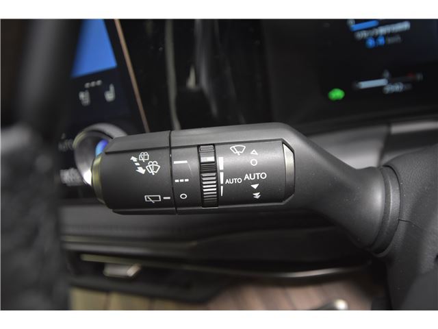 2024 Lexus LM 照片 8