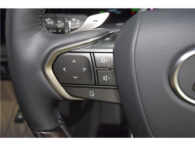 2024 Lexus LM 照片 6