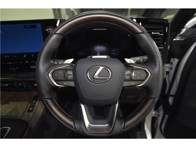 2024 Lexus LM 照片 5