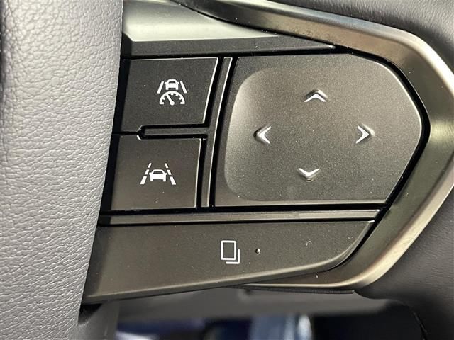 2024 Lexus LM thumbnail 18