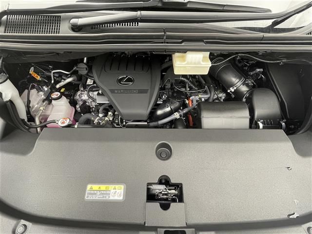 2024 Lexus LM photo 3