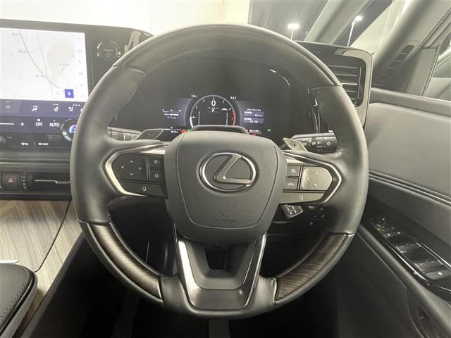 2024 Lexus LM thumbnail 16