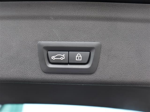 صورة مصغرة 21 لـ 2020 BMW X6