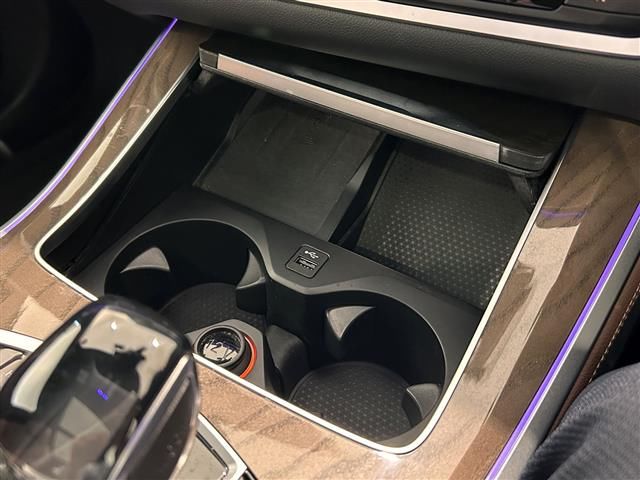 2021 BMW X5 照片 15