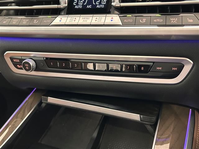 2021 BMW X5 照片 14