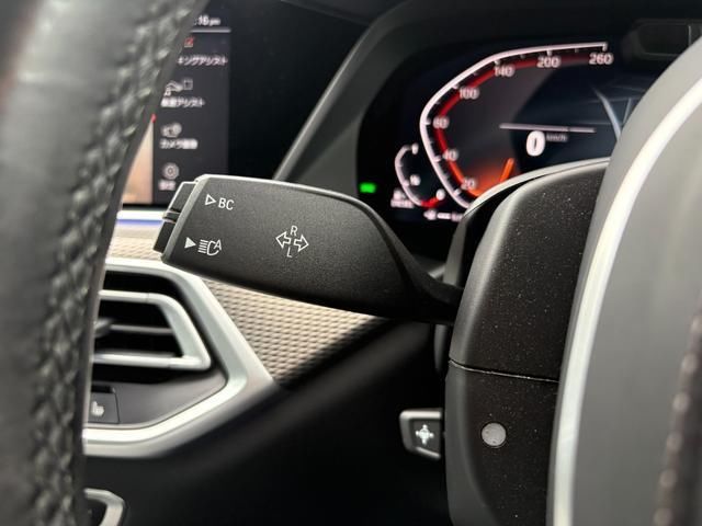 2021 BMW X5 照片 11