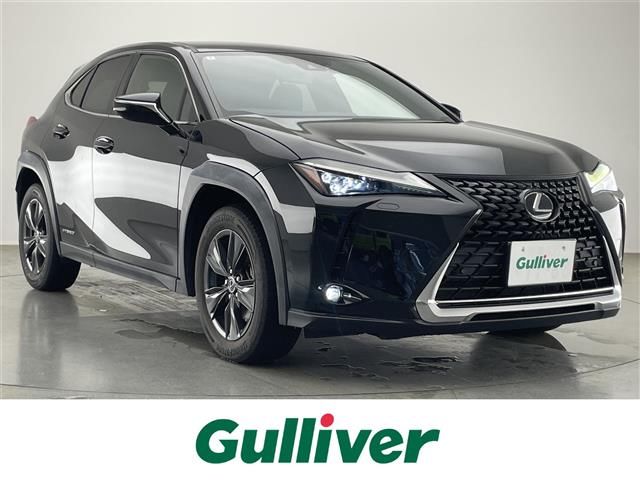 2020 Lexus UX photo 1