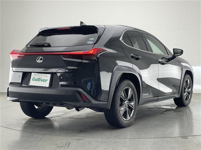 2020 Lexus UX photo 3
