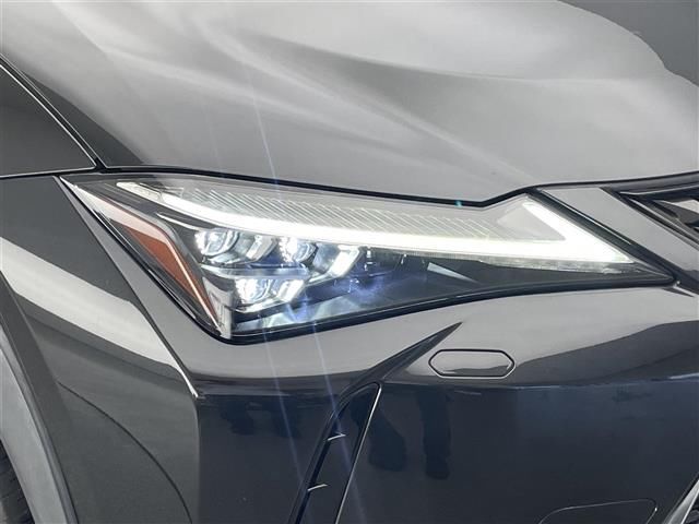 2020 Lexus UX photo 8