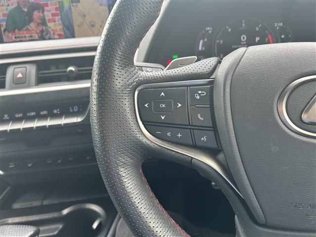 2018 Lexus UX photo 6