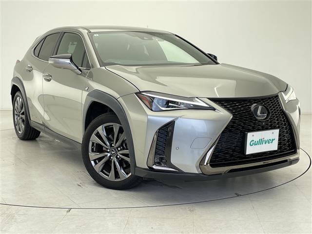 2019 Lexus UX photo 1