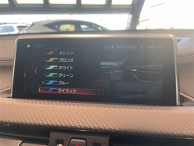 2019 BMW X2 缩略图 18