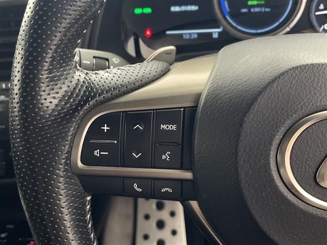 صورة مصغرة 24 لـ 2016 Lexus RX