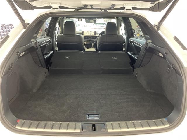 صورة مصغرة 21 لـ 2016 Lexus RX