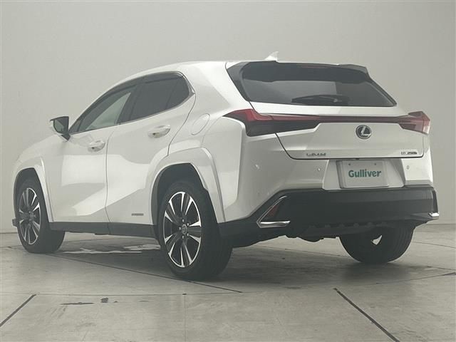 2020 Lexus UX 缩略图 23
